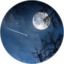 Chloe Sullivan profile picture