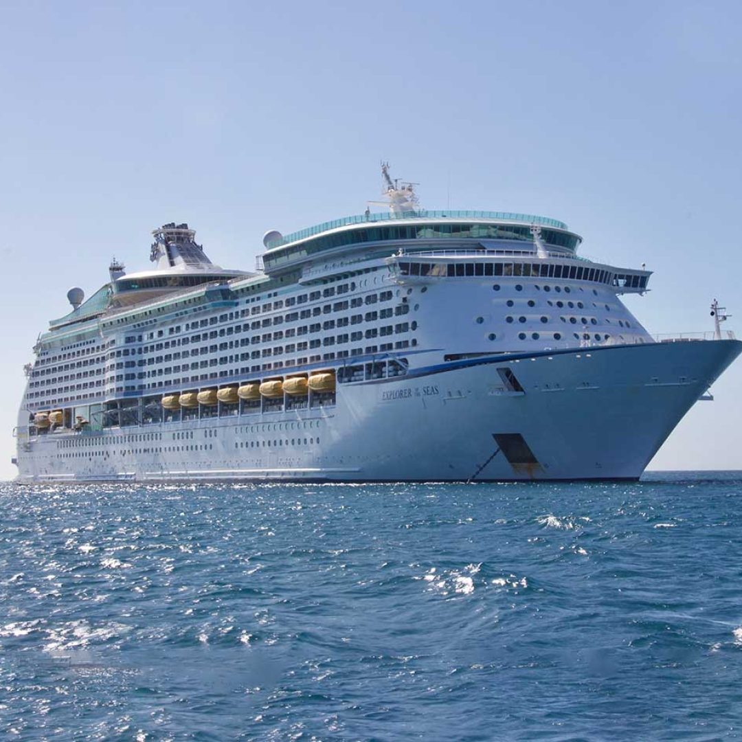 Why You Should Focus on Improving Picnic